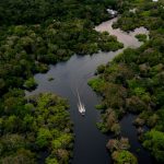 Amazzonia in crisi: caldo estremo e co2, cosa sappiamo %amazzonia in crisi: caldo estremo e co2, cosa sappiamocount(title)% Amazzonia in crisi: caldo estremo e co2, cosa sappiamo