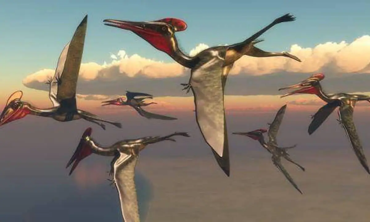 Pterosauri