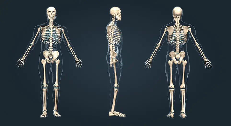 Impianto osseo in 3d ripara eventuali lesioni dello scheletro