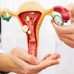 Endometriosi: individuata causa genetica e target del farmaco %endometriosi: individuata causa genetica e target del farmacocount(title)% Endometriosi: individuata causa genetica e target del farmaco
