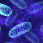 Rigenerare i mitocondri scongiura il morbo di parkinson