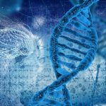 Dna: solo una piccola parte del nostro è unica degli umani