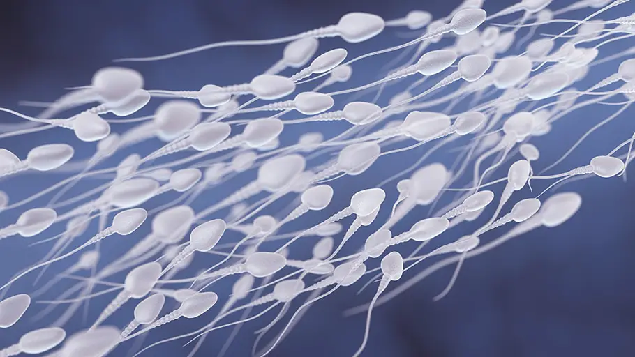 Sperma umano