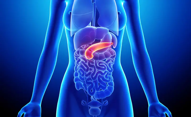 Nuovi marcatori genetici per una forma rara di diabete 1