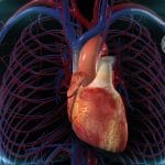 Pacemaker: nuovi modelli di smartphone possono interferire %pacemaker: nuovi modelli di smartphone possono interferirecount(title)% Pacemaker: nuovi modelli di smartphone possono interferire
