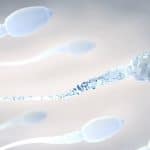 Mutazioni dello sperma umano causano malattie alla prole