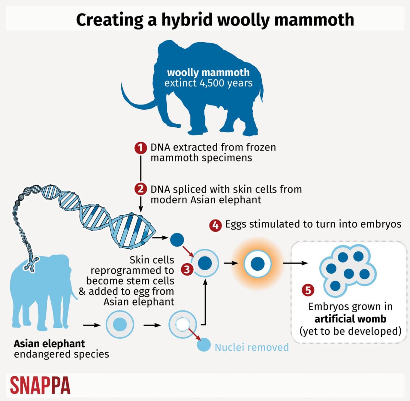 Resuscitare dei mammut estinti