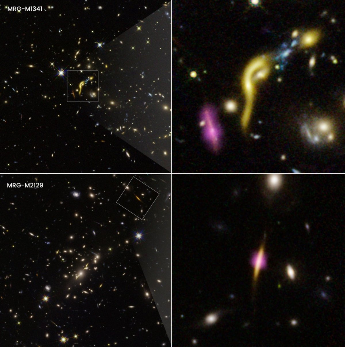 6 enormi galassie morte