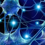 Tc-2153: il composto con potenti effetti antiepilettici 