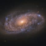6 enormi galassie morte scoperte dal telescopio hubble