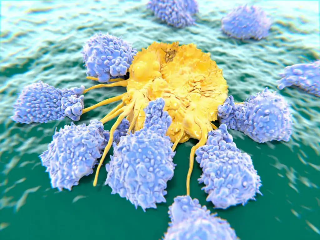 Cellule tumorali silicizzate