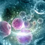 Nuovi immunoterapici: più sicuri ed efficaci contro il cancro