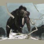 Resuscitare dei mammut estinti 4500 anni fa, è pericoloso?