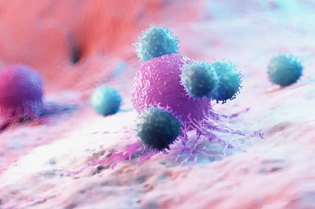 Il cancro al seno scava tunnel nelle cellule adipose per rifornirsi di carburante 