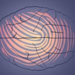 Impronta digitale: anche il nostro cervello ne possiede una %impronta digitale: anche il nostro cervello ne possiede unacount(title)% Impronta digitale: anche il nostro cervello ne possiede una