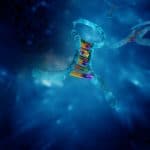 Microrna nel sangue può indicare un'imminente demenza %microrna nel sangue può indicare un'imminente demenzacount(title)% Microrna nel sangue può indicare un'imminente demenza