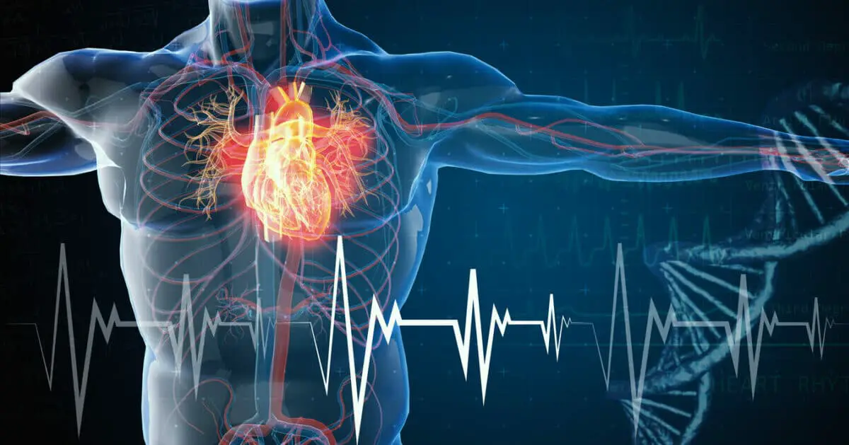 Insufficienza cardiaca: l'intelligenza artificiale la individua