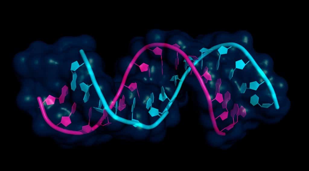 microRNA