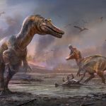 Nuove specie di dinosauri: 2 esemplari grandi e carnivori %nuove specie di dinosauri: 2 esemplari grandi e carnivoricount(title)% Nuove specie di dinosauri: 2 esemplari grandi e carnivori