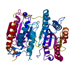 Proteoma: analizzarlo per scegliere terapie mirate contro il cancro %proteoma: analizzarlo per scegliere terapie mirate contro il cancrocount(title)% Proteoma: analizzarlo per scegliere terapie mirate contro il cancro
