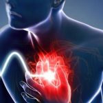 Map: il bendaggio che rigenera il tessuto cardiaco %map: il bendaggio che rigenera il tessuto cardiacocount(title)% Map: il bendaggio che rigenera il tessuto cardiaco