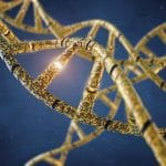 Mutazioni genetiche de novo collegano autismo e difetti cardiocongeniti %mutazioni genetiche de novo collegano autismo e difetti cardiocongeniticount(title)% Mutazioni genetiche de novo collegano autismo e difetti cardiocongeniti