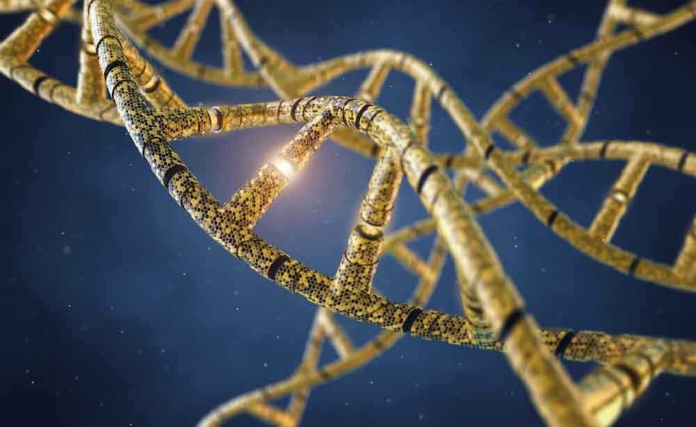 Mutazioni genetiche de novo collegano autismo e difetti cardiocongeniti