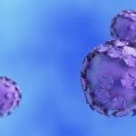 Vaccino hpv monodose: ecco perché è altamente funzionante %vaccino hpv monodose: ecco perché è altamente funzionantecount(title)% Vaccino hpv monodose: ecco perché è altamente funzionante