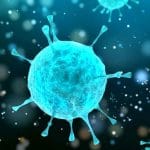 Interleuchina-1: è più antica dei vertebrati? Cosa cambia per l'immunità %interleuchina-1: è più antica dei vertebrati? Cosa cambia per l'immunitàcount(title)% Interleuchina-1: è più antica dei vertebrati? Cosa cambia per l'immunità