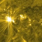 Ek draconis: la stella con eruzioni 10 volte quelle soalari %ek draconis: la stella con eruzioni 10 volte quelle soalaricount(title)% Ek draconis: la stella con eruzioni 10 volte quelle soalari