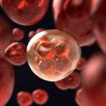 Cancro ovarico: scoperto l'esordio nelle donne ad alto rischio %cancro ovarico: scoperto l'esordio nelle donne ad alto rischiocount(title)% Cancro ovarico: scoperto l'esordio nelle donne ad alto rischio