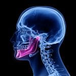 Nuova parte del corpo: un 3º muscolo nella mascella %nuova parte del corpo: un 3º muscolo nella mascellacount(title)% Nuova parte del corpo: un 3º muscolo nella mascella
