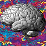 Le droghe psichedeliche possono sfruttare il loro potenziale per il trattamento dei disturbi di salute mentale? %le droghe psichedeliche possono sfruttare il loro potenziale per il trattamento dei disturbi di salute mentale? Count(title)% Le droghe psichedeliche possono sfruttare il loro potenziale per il trattamento dei disturbi di salute mentale?
