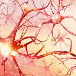 Nap: il farmaco sperimentale efficace per l'asd e alzheimer %nap: il farmaco sperimentale efficace per l'asd e alzheimercount(title)% Nap: il farmaco sperimentale efficace per l'asd e alzheimer
