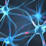 Cellule tossiche: bersaglio per l'alzheimer? %cellule tossiche: bersaglio per l'alzheimer? count(title)% Cellule tossiche: bersaglio per l'alzheimer?