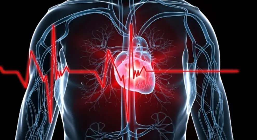 Modellazione 3D del cuore combinata, test diagnostico, TRPM2