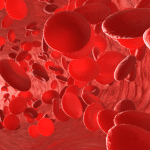 Ragnatele nel sangue potrebbero aiutare nella cura della sm
