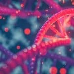Dna animale estratto per la prima volta dall'aria
