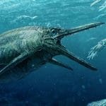 Drago marino di oltre 180 milioni di anni fa scoperto in uk