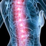 Lesione del midollo spinale: idrogel stimola la rigenerazione neurale 