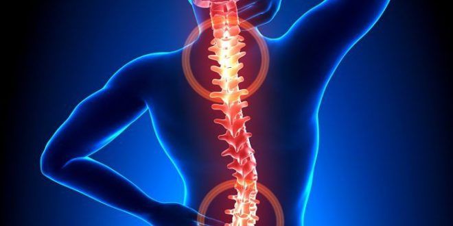 Lesione del midollo spinale