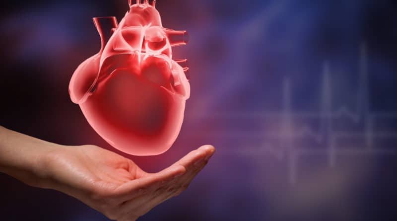 Modellazione 3D del cuore combinata