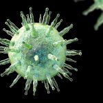 Epstein-barr il virus che scatena la sm, ora sappiamo come