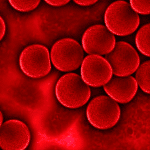 Proteine del sangue: chiave per una vita lunga e sana?