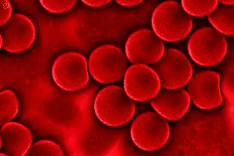 Proteine del sangue: chiave per una vita lunga e sana?