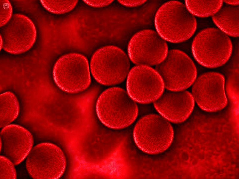 Proteine del sangue: chiave per una vita lunga e sana?