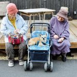 Proprietari anziani di cani: minor rischio disabilità
