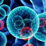 Mieloma multiplo: nuove speranze da un anticorpo monoclonale