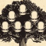 Albero genealogico più antico: 27 milioni di antenati
