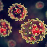Febbre di lassa: diagnosticata in 2 pazienti in inghilterra